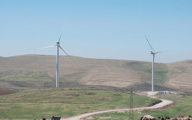 Tamasuk