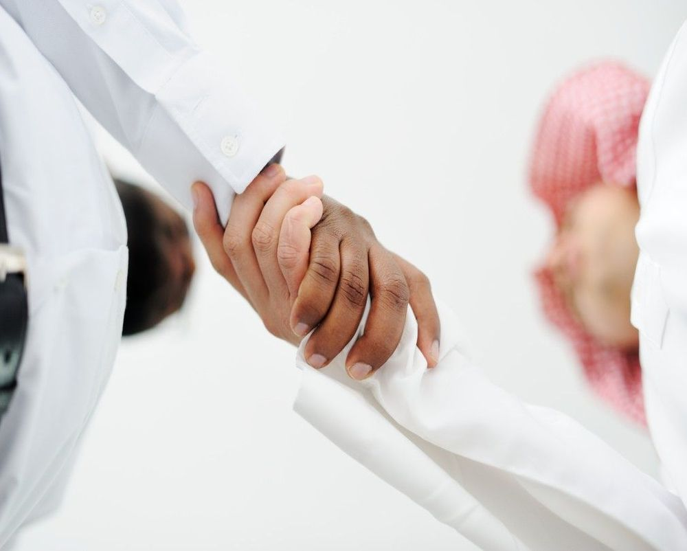 Partnership Capability